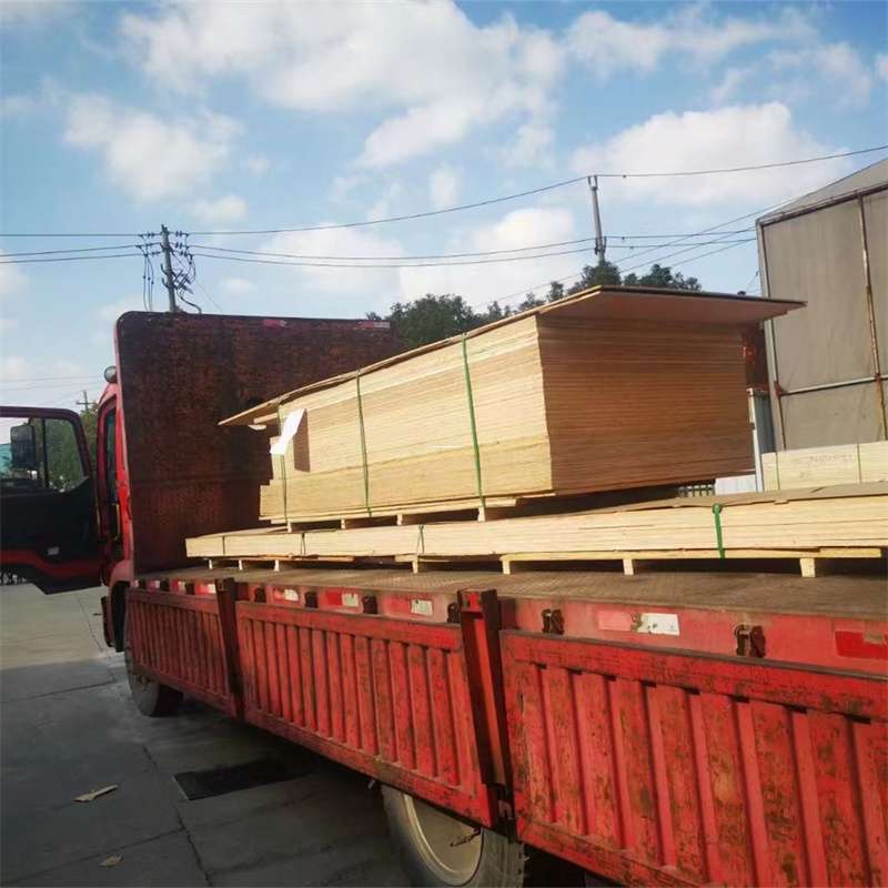 河南郑州上街至塔城货运专线，一站式物流服务助您成功